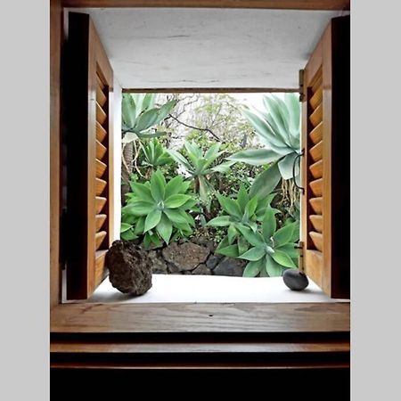 Вілла Casa Agave 1 Фронтера Екстер'єр фото
