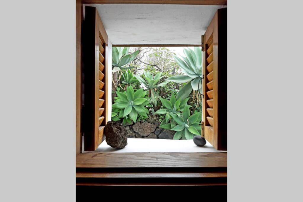 Вілла Casa Agave 1 Фронтера Екстер'єр фото